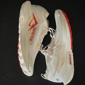 Mens Nike Pegasus Trail US 10.5